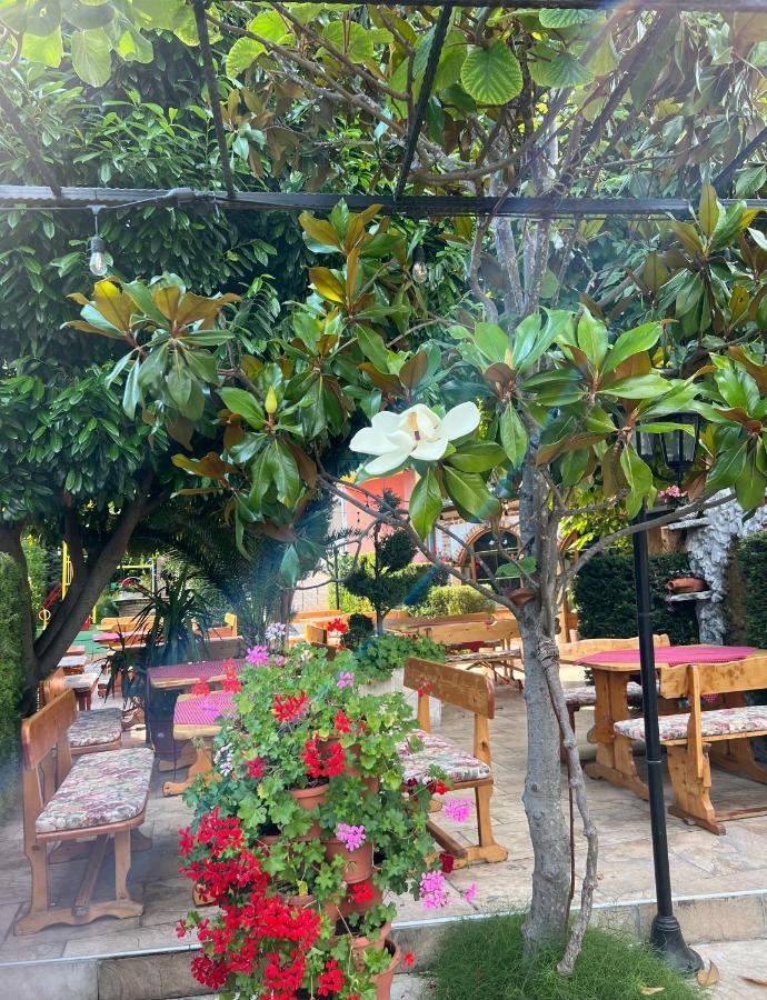Hotel Jambo غولدن ساندز المظهر الخارجي الصورة